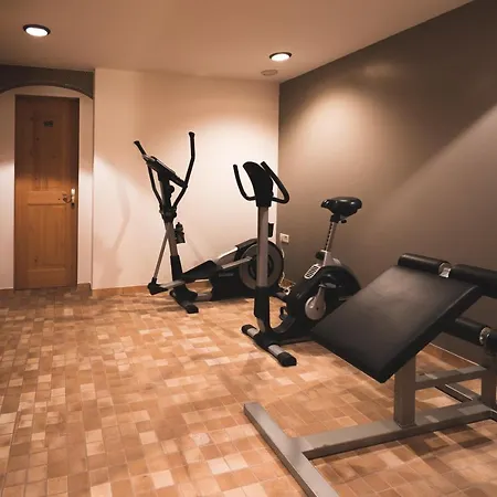 Panoramahotel Schwendbergerhof Отель 4*