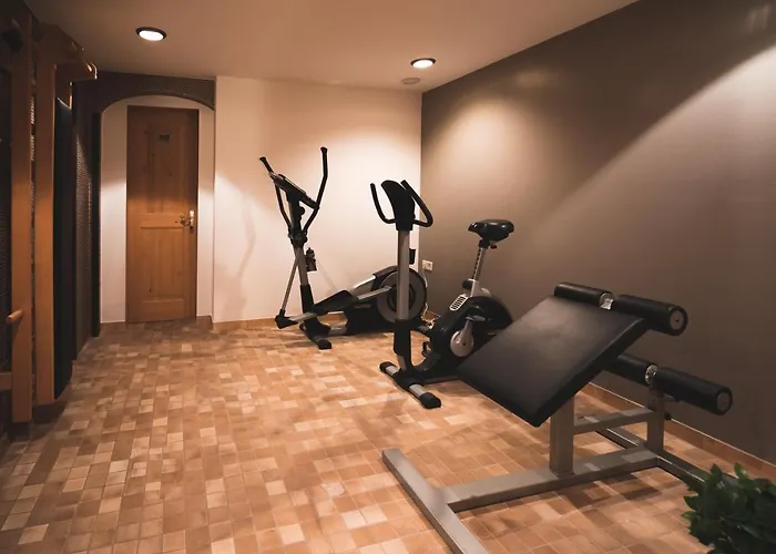 Panoramahotel Schwendbergerhof מלון 4*